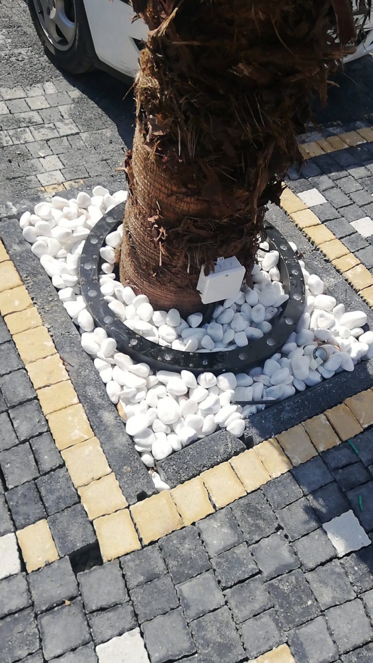 Ağaç Çember Armatür 